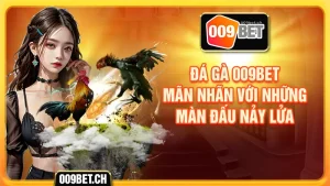 Đá gà 009bet