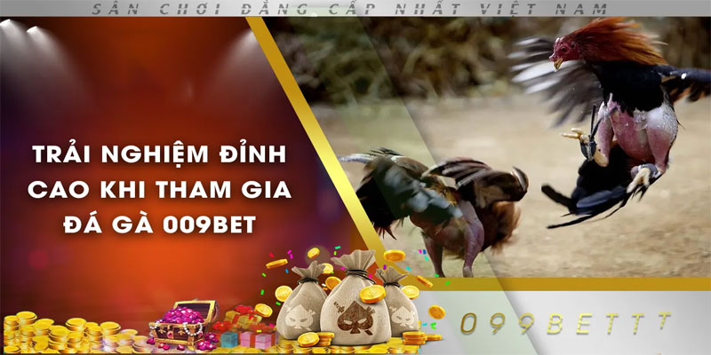 Trải-Nghiệm-Cá-Cược-Đá-Gà-009Bet-Khó-Quên