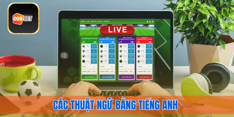 Các thuật ngữ bằng tiếng anh