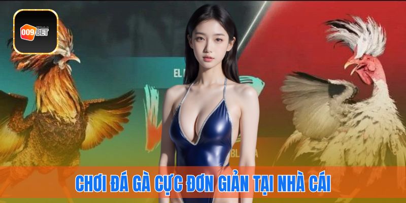 Chơi đá gà cực đơn giản tại nhà cái 