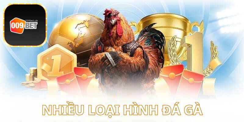 Đa dạng loại hình chọi gà