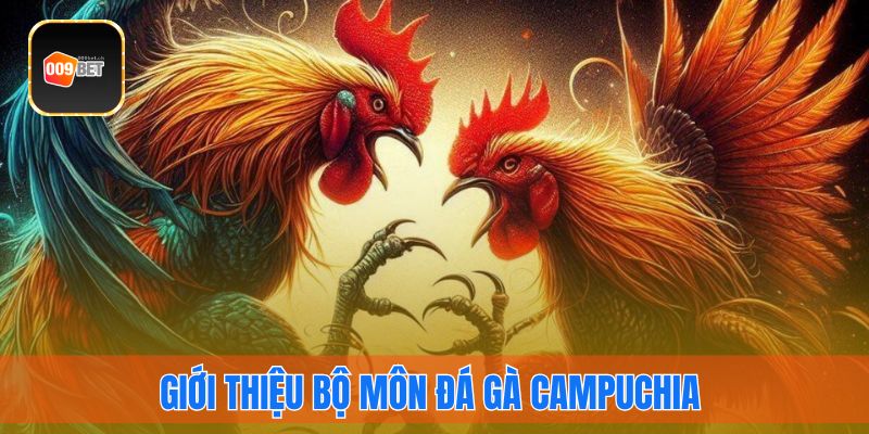 Giới thiệu bộ môn đá gà Campuchia cực hấp dẫn