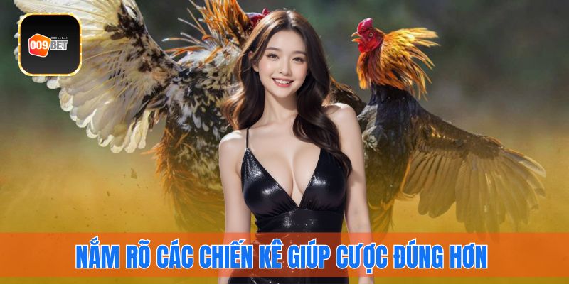 Nắm rõ các chiến kê giúp cược đúng hơn 