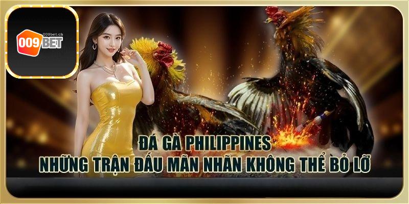 Những điều cần biết về đá gà Philippines