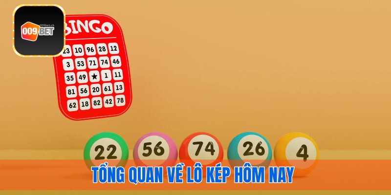 Tổng quan lô kép hôm nay