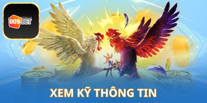 Xem kỹ thông tin gà chọi trước khi xuống vốn